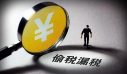 最新爆料偷税漏税事件,偷税漏税事件再掀波澜，行业巨头涉嫌巨额逃税