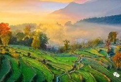 婺源最新爆料