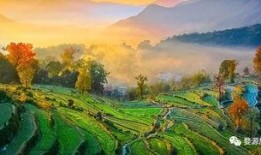 婺源最新爆料