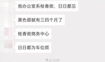 沙头最新爆料,最新爆料背后的惊人真相